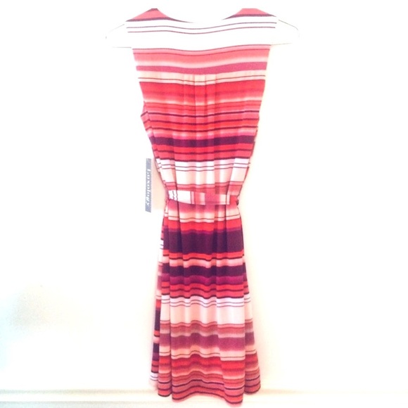LUXOLOGY Sleeveless Striped Dress, NWT - Picture 2 of 7